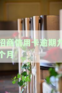 招商信用卡逾期九个月严重吗？能否协商还款？