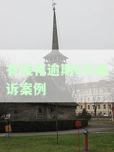 有钱花逾期6万起诉案例多吗，有钱花逾期6万是否会被大量起诉？案件数量揭示真相