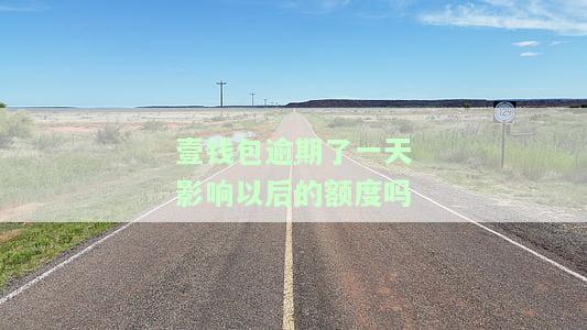 壹钱包逾期了一天影响以后的额度吗