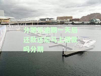 分期乐逾期一天还了还能借钱吗，分期乐逾期一天还款后，能否再次借款？