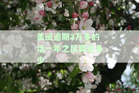 美团逾期1万多元逾期多长时间会被起诉，美团逾期1万多元多久会被告上法庭？逾期时间对被起诉的影响是什么？