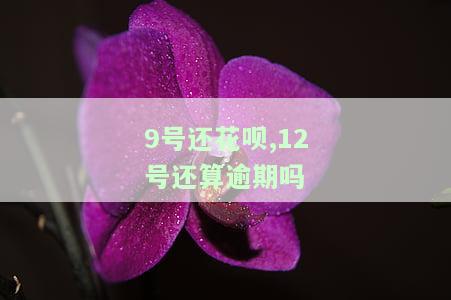 9号还花呗,12号还算逾期吗，9号还款花呗，12号算不算逾期？