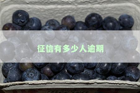 征信有多少人逾期