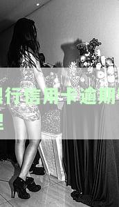银行信用卡逾期管理工作汇报材料文，优化银行信用卡逾期管理：工作汇报材料文