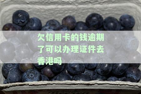 欠信用卡钱是否能办理护照、签证及身份证？
