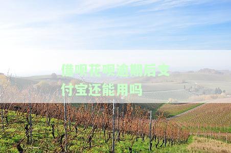 借呗花呗逾期后支付宝能否继续使用？如何还款？逾期后额度能恢复吗？