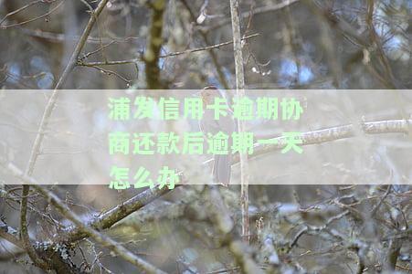 浦发信信用卡逾期协商还款一次还能不能协商第二次，浦发银行信用卡逾期后，二次协商还款的可能性大吗？