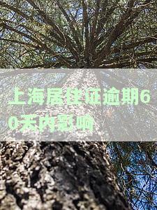 上海居住证逾期60天内是否会影响落户？如何处理逾期情况？居住证逾期多久会被注销？一个月未签注有何后果？