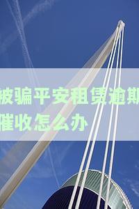 平安租赁套路贷怎么投诉，揭露平安租赁套路贷：如何进行有效投诉？