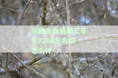 招联金融逾期两年欠7200右会怎么样？协商还本金、利息处理方式及后果解析