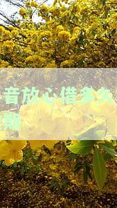 抖音放心借逾期几天上征信吗，【抖音放心借】逾期多久会上征信？你需要知道的全部信息！