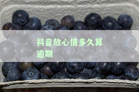 抖音上面的放心借放款多久，揭秘抖音放心借放款时间，让你心中有数！