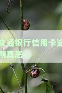 交通银行的信用卡逾期了怎么办，信用卡逾期了？教你如何处理交通银行信用卡逾期问题！
