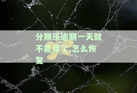 分期乐逾期一天就不能再借出来了吗？影响借款的因素有哪些？