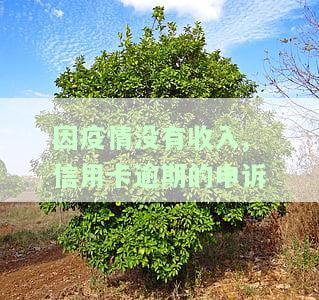 疫情欠信用卡怎么办？2021年疫情期间信用卡还不上、因疫情信用卡还不起如何协商？