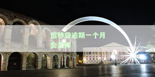 信秒贷逾期一个月会怎样处理，了解信秒贷逾期一个月的处理方式