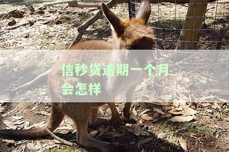 信秒贷逾期，警惕！信秒贷逾期可能导致严重后果