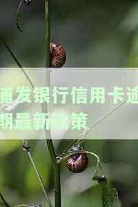浦发银行信用卡逾期最新政策通知：了解2021年逾期后果与解决方案