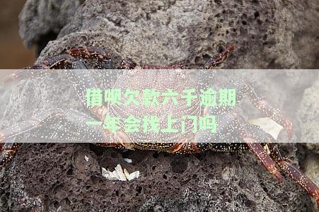 借呗欠款六千逾期一年会找上门吗-借呗欠款六千逾期一年会找上门吗知乎
