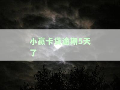 小赢卡贷逾期5天未接到催收电话，应如何应对？