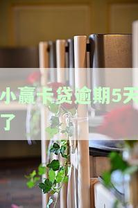 小赢卡贷逾期5天了-小赢卡贷逾期5天了怎么没有催收电话