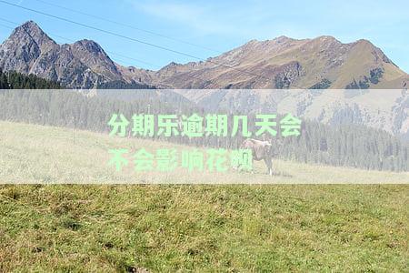 分期乐逾期几天会影响信用，逾期几天会影响信用？分期乐告诉你答案！