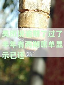 美团逾期半年了还上钱后还能借出来吗？会影响征信吗？