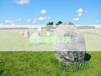 招行逾期12天，紧急提醒：您的招行信用卡已逾期12天，请尽快还款以避免产生更多费用！