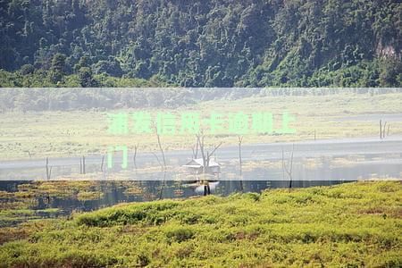 浦发信用卡逾期上门后仍无法还款？处理步骤及建议