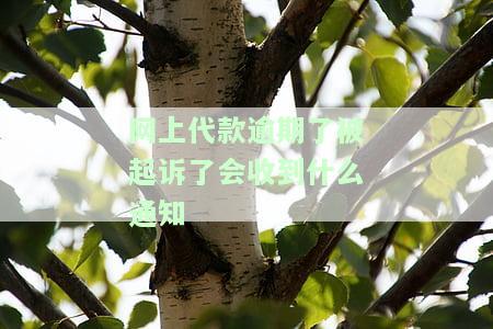 网上代款逾期了被起诉了会收到什么通知-网上代款逾期了被起诉了会收到什么通知吗