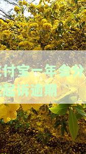 有被支付宝起诉的人吗我逾期了1年3个月了，逾期一年三个月，你是否已被支付宝起诉？