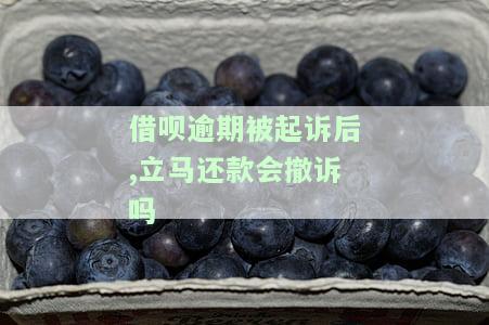 借呗逾期被起诉后,立马还款会撤诉吗