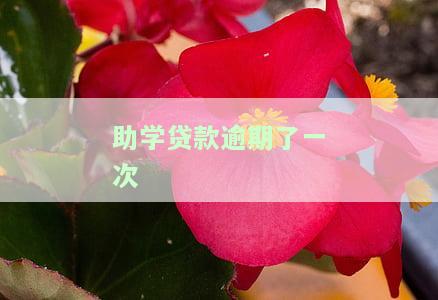 助学贷款逾期了一次还能贷吗，助学贷款逾期一次的影响：是否还能再次申请贷款？