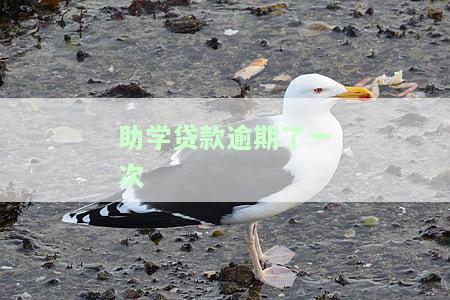 助学贷款逾期一次影响房贷吗，助学贷款逾期一次是否会影响申请房贷？
