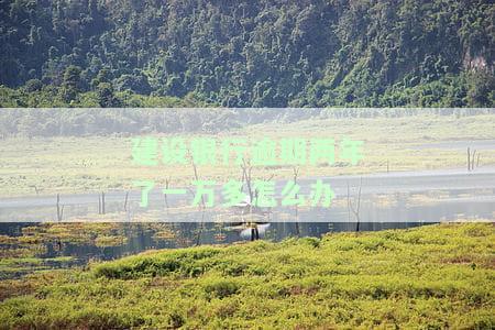 建行信用卡10000逾期两年：利息、后果及解决办法