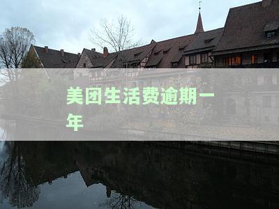 美团生活费逾期一年
