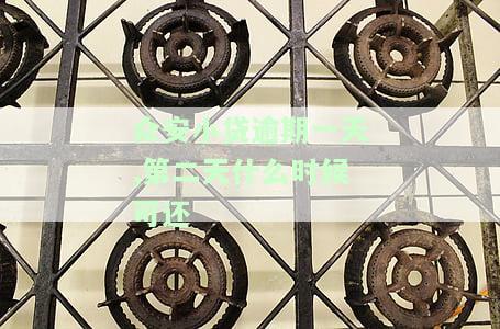 众安小贷逾期一天：第二天可还款时间及影响解析