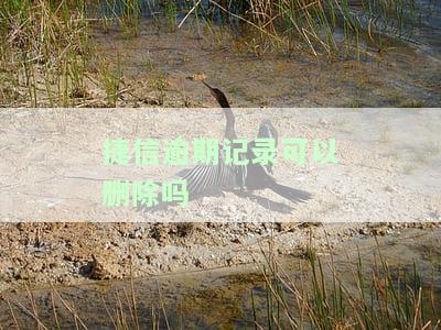 捷信逾期记录可以删除吗-捷信逾期记录可以删除吗怎么删