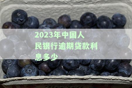 2023年中国人民银行逾期贷款利息多少呢，2023年：中国人民银行逾期贷款利息详解