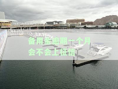 备用金逾期一个月严重吗？后果、处理方法及是否上征信全解析