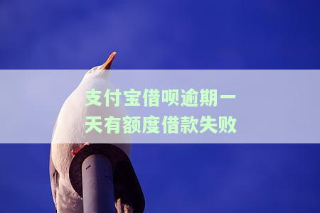 支付宝借呗逾期一天上不上征信，支付宝借呗逾期一天是否会记录在个人信用报告中？