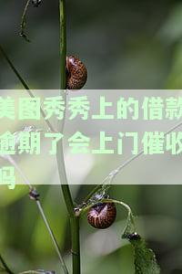 美图秀秀上的借款逾期了会上门催收吗