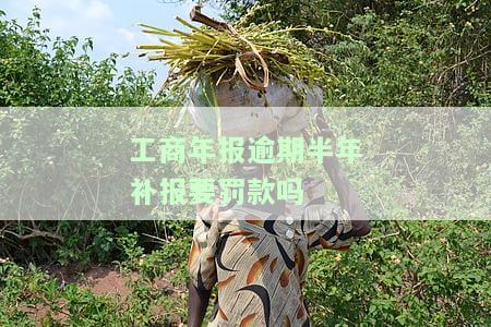 工商年报超期未报、过期怎么办？如何补报？逾期申报罚款吗？
