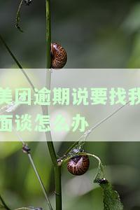 美团逾期说要找我面谈怎么办