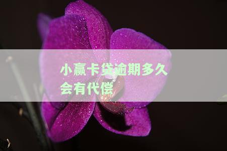 小赢卡贷逾期多久会保险代偿？影响、时间、后果全解析
