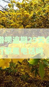 借呗逾期25天会打家属电话吗？该如何处理？逾期15天、45天是否会通知家人？