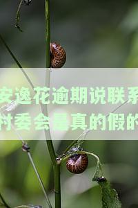 安逸花逾期了，打电话说村委书记和会上门