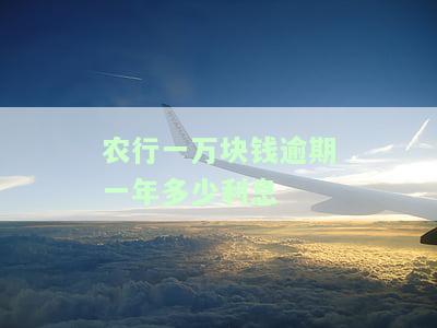 农行一万块钱逾期一年利息计算方法及是否可以分期还款及利息退还说明