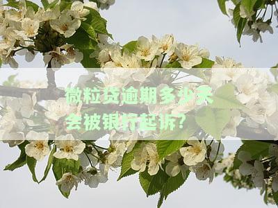 微粒贷逾期多少天会起诉,我已经还了2000多，警惕！微粒贷逾期多久会被起诉？我还了2000多还有救吗？