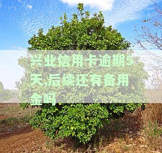 兴业信用卡逾期5天，后续还能申请备用金吗？逾期四天有何影响？